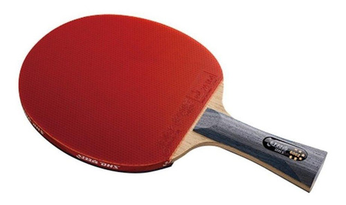 Paleta de ping pong DHS 6002 negra y roja FL (Cóncavo)