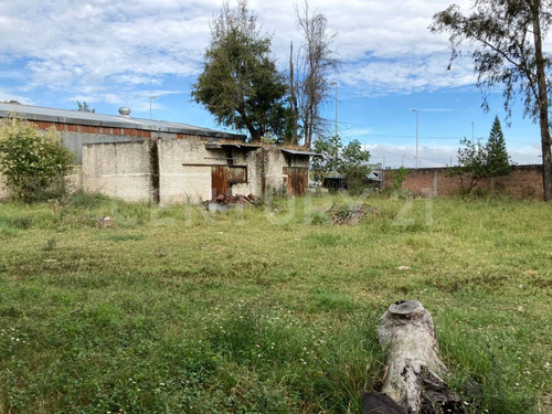 Terreno En Renta En Cd. Guzmán