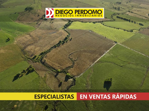 Campo De 80 Has En Venta, Próximo A Ciudad De Libertad