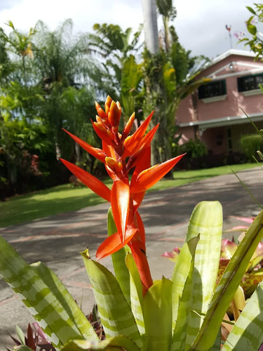 Bienvenido A Tu Refugio De Ensueño En Cumaná, Donde El Lujo Se Encuentra Con La Naturaleza