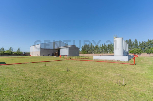 Imagen 7 de 30 de Venta - Galpon - Planta Industrial - Zarate