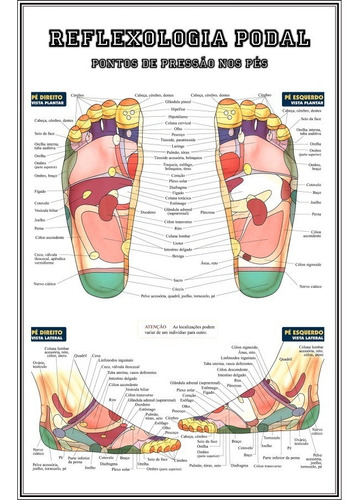 Mapa Grande Hd 65x100cm Reflexologia Pontos De Pressão Pés Xx Plastificado