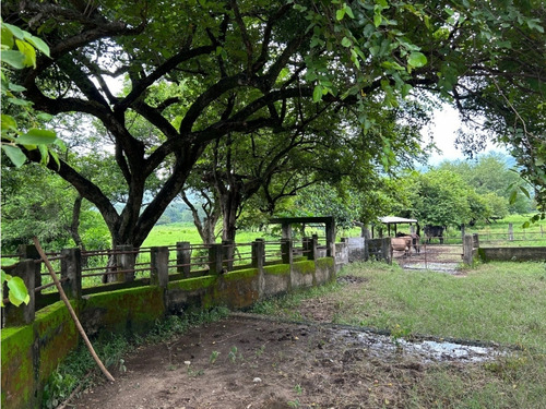 Impresionante Rancho En Manuel Avila Camacho - Tonalá