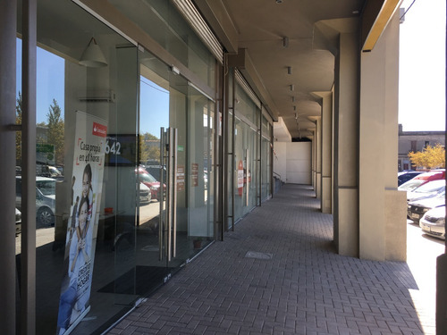 Imagen 6 de 6 de Alquiler De Local Comercial En La Aguada ¡imperdible! - C067