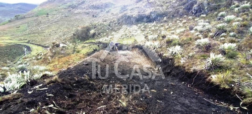 Finca Agrícola Gavidia - Mucuchies