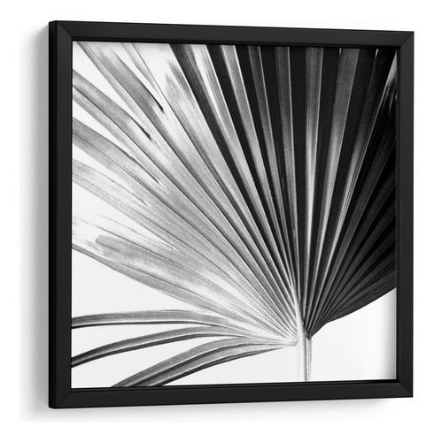 Cuadro Enmarcado Negro Palm En Blanco Y Negro Iv 60x60