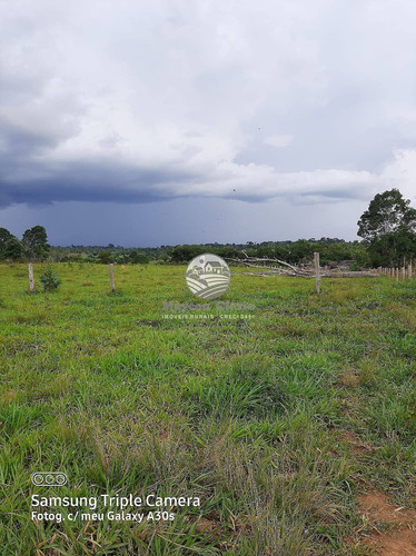 Imagem 6 de 11 de Venda Sítio Vale Do Anari Em Rondônia - Sig309