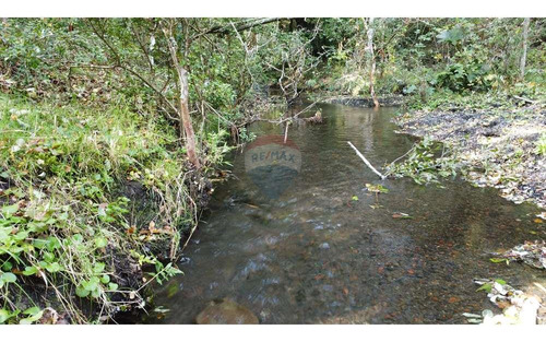 Plot In Pucón, Los Riscos Safe Investment