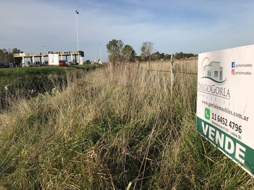 #venta Campo 6 - Fracción 4.38 Has En Uribelarrea - Cañuelas