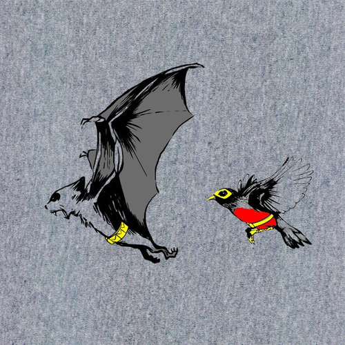 Remera De Serie Geek Batman Y Robin Wildlife