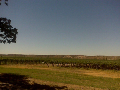 Imagen 15 de 20 de 41 Ha Ruta 15 (zona Bodegas)
