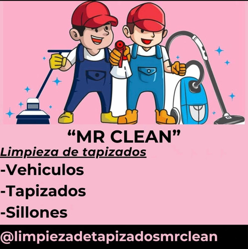 Limpieza De Tapizados En General