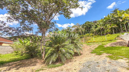 Imagem 22 de 24 de Linda Casa Com Piscina E Com Uma Vasta Área Verde, No Progresso!! - 3052321v