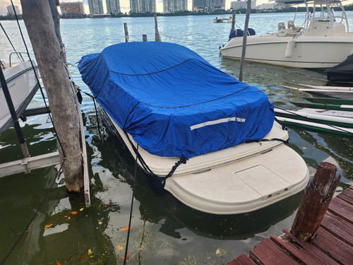 2007 Searay Sundancer 240