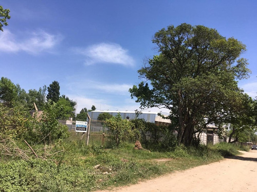 Imagen 4 de 6 de Amplio Lote En Marcos Paz