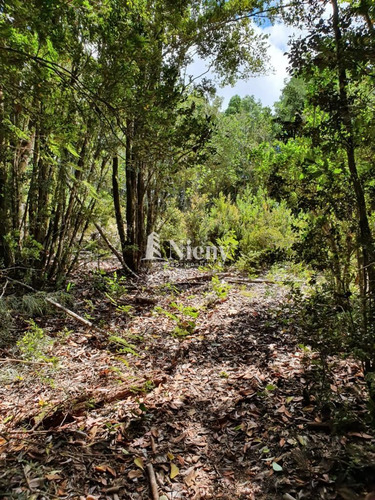 Terreno De 99 Has En Venta En Corral, A 30 Min De Valdivia
