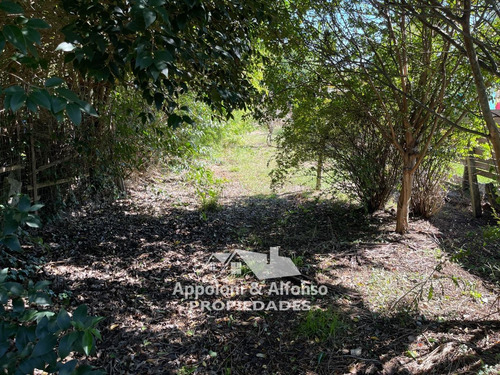 Imagen 8 de 14 de Casa En Nueva Helvecia