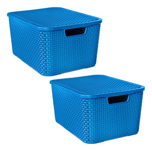 2 Caixa Rattan Para Guardar Organizar Remédios 7l Colorida Cor Azul