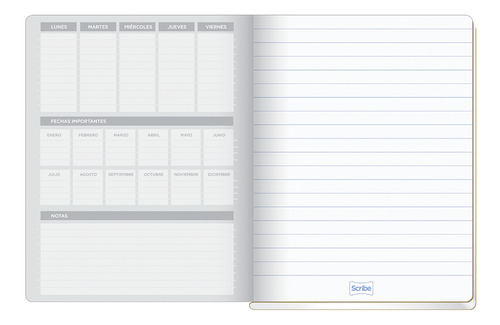 Cuaderno Profesional Scribe Colegial Cuadro Grande 100 Hojas