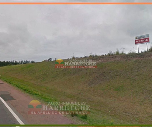 Imagen 1 de 14 de Terreno En Alquiler 44.857 M2 Urbanos Ruta 5 Apto Parque Industrial U$s 0.10 (el M2)
