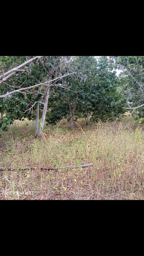 Imagen 10 de 10 de Se Vende Finca En Terragona Municipio Cedeño Ve02-1301ced-dced