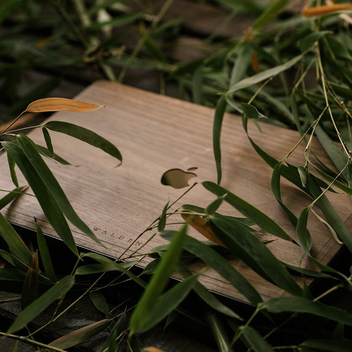Funda Skin Walden® Madera Real Bamboo Macbook Air / Pro / 13 / 15 / Retina Apple Eco Classic Original