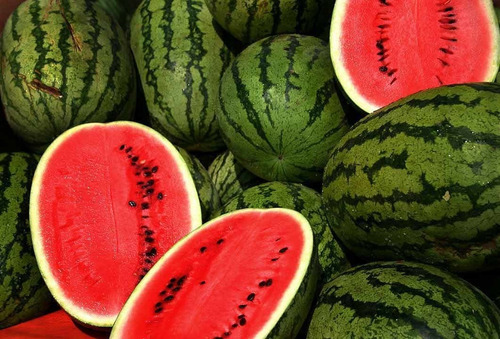 100 Semillas De Sandia Var All Sweet - Citrullus Lanatus