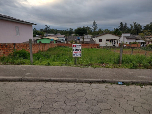 Imagem 1 de 4 de Terreno - Vila Nova - Ref: 29087 - V-29085