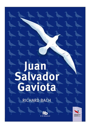 Juan Salvador Gaviota