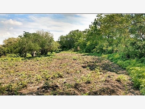 Imagen 6 de 7 de Terreno En Venta Alpuyeca , Morelos