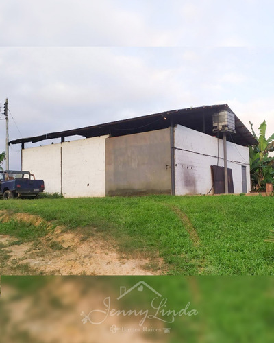 Imagen 6 de 14 de Se Vende Finca De 6,6 Has En Bejuma Carabobo