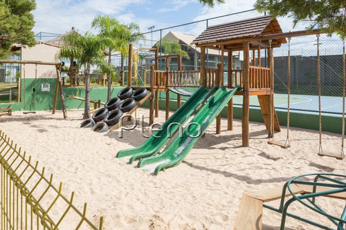 Imagem 8 de 16 de Terreno À Venda Em Swiss Park - Te029441
