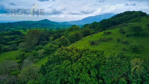 Terreno En Venta En Santiago Tuxtla Veracruz Mexico