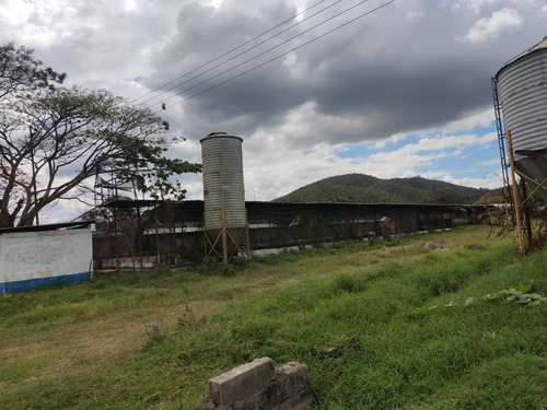 Venta De Finca Productiva Y Fondo De Comercio En Montalbán - Inmobiliaria Maggi 1417