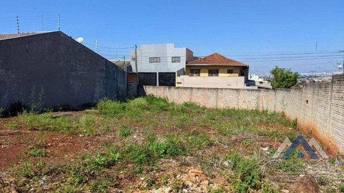 Imagem 3 de 4 de Terreno À Venda, 317 M² Por R$ 215.000,00 - Residencial Quadra Norte - Londrina/pr - Te0614