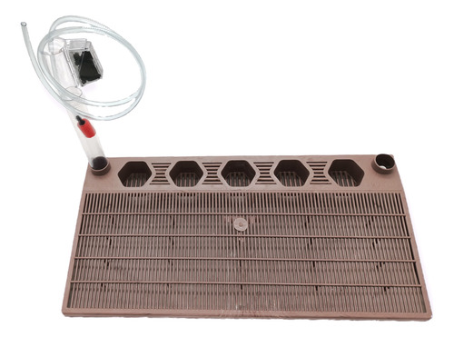 Filtro Plataforma Portaplanta 50cm Acuario Estándar 40litros