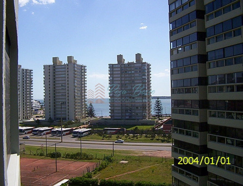 Apartamento En Brava, 1 Dormitorios *- Ref: 323