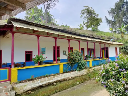 Se Vende Finca En Pijao - Quindío