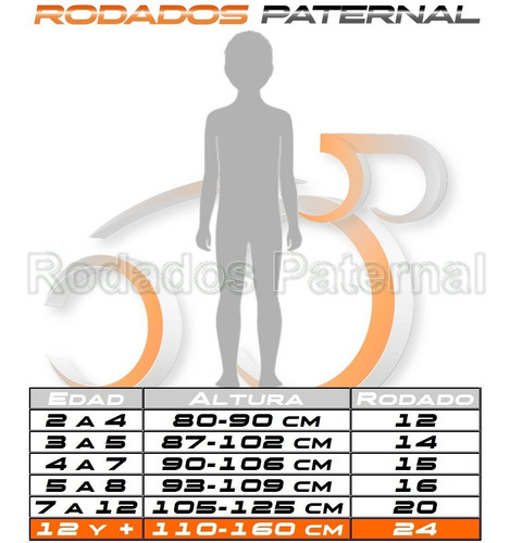 Imagen 2 de 5 de Bicicleta Rodado 24 Dama Mujer Paseo Full Urbana Con Porta