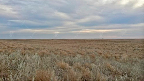 Campo En Venta De 27950 Has En Gral Alvear Mendoza. Armada Para Cria/recria