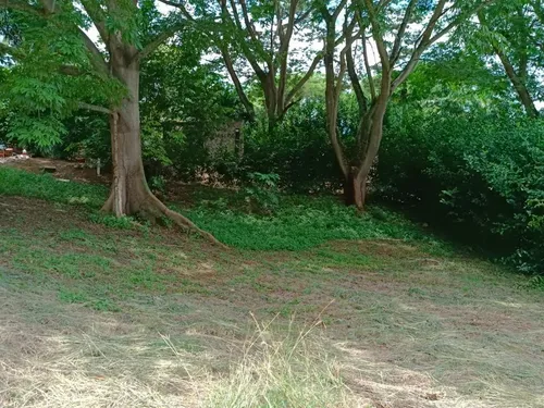 Lote En Venta En Paraje El Espinal. Cod V14863