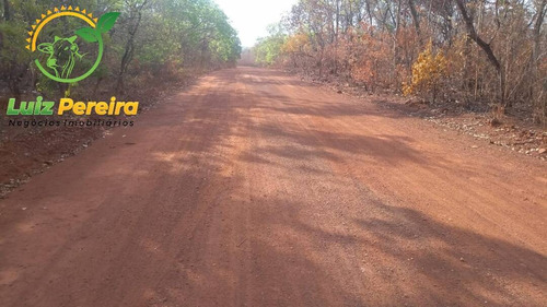 Imagem 13 de 15 de Fazenda À Venda Em São Valério -to - 1.026 Hec (excelente Para Agricultura) - 1520