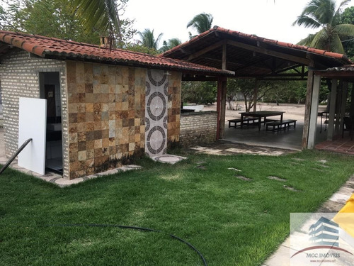 Imagem 20 de 30 de Granja A Venda Em Macaíba