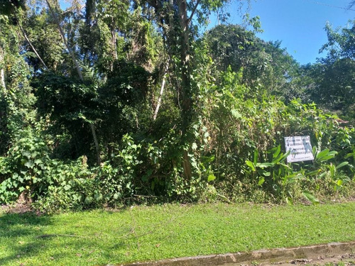 Imagem 2 de 8 de Terreno À Venda, 384 M² Por R$ 160.000,00 - Mococa - Caraguatatuba/sp - Te0211