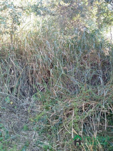 Imagem 6 de 11 de Lote Em Sabará - 2266v