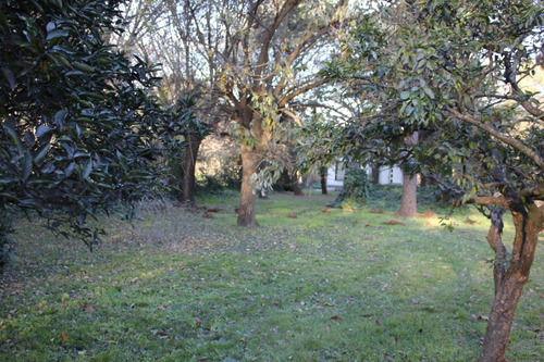 Imagen 7 de 15 de Excelente Casa Quinta En Cañuelas¡¡¡¡¡¡¡¡ Dueño Directo¡¡¡¡¡¡¡¡aceptamos Propiedad En Pago!!!!!!!!