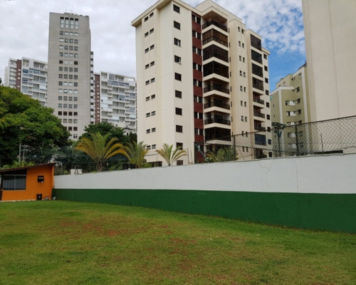 Imagem 3 de 10 de Comercial Na Rua Domingos Lopes Da Silva - Te00009 - 67749902