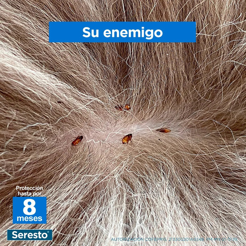 Collar Antipulgas Seresto Elanco Para Perros 2 Grande Y 1 Ch 2 Grandes Y 1 Chico