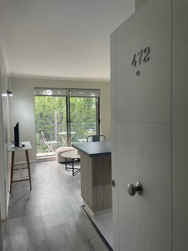 Lindo Departamento (79616)
