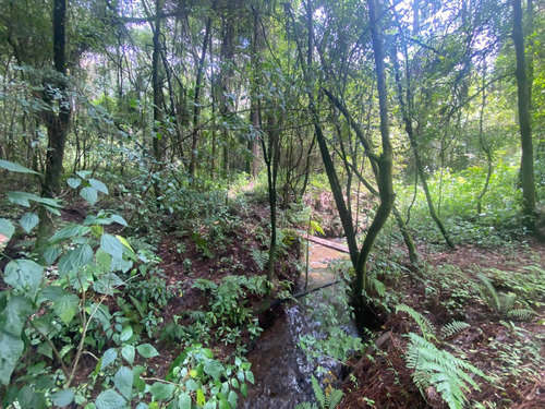 Terreno En Venta Circuito Avándaro